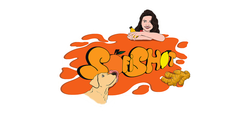 logo-nou